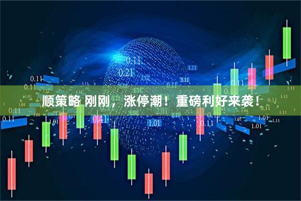 顺策略 刚刚，涨停潮！重磅利好来袭！