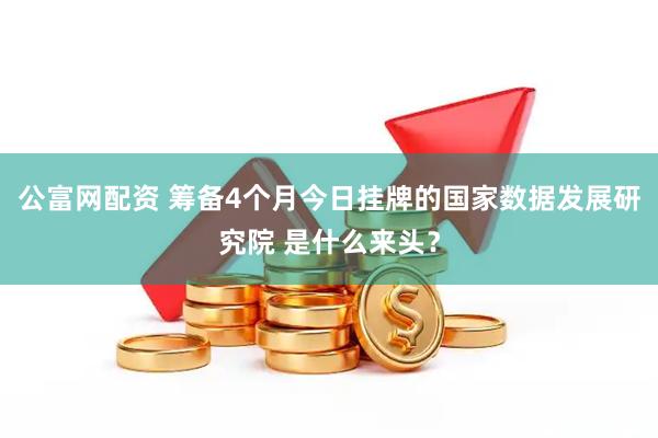 公富网配资 筹备4个月今日挂牌的国家数据发展研究院 是什么来头？