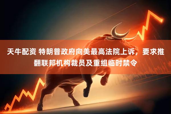 天牛配资 特朗普政府向美最高法院上诉，要求推翻联邦机构裁员及重组临时禁令