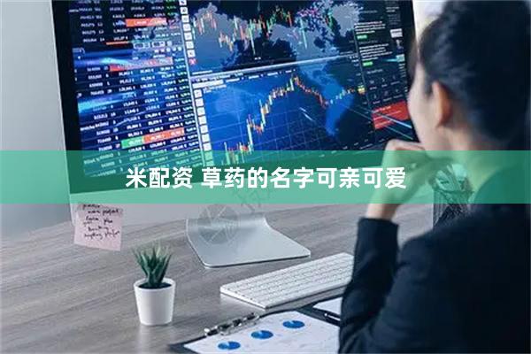 米配资 草药的名字可亲可爱