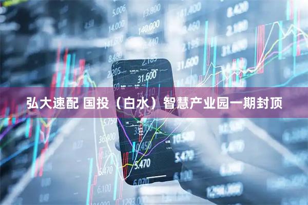弘大速配 国投(白水)智慧产业园一期封顶