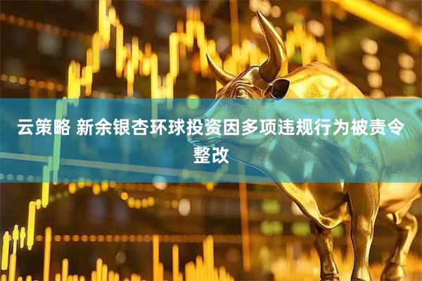 云策略 新余银杏环球投资因多项违规行为被责令整改