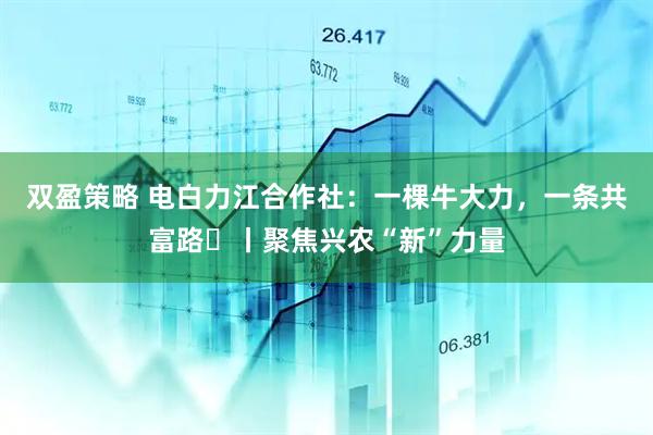 双盈策略 电白力江合作社:一棵牛大力,一条共富路㉕丨聚焦兴农“新”力量