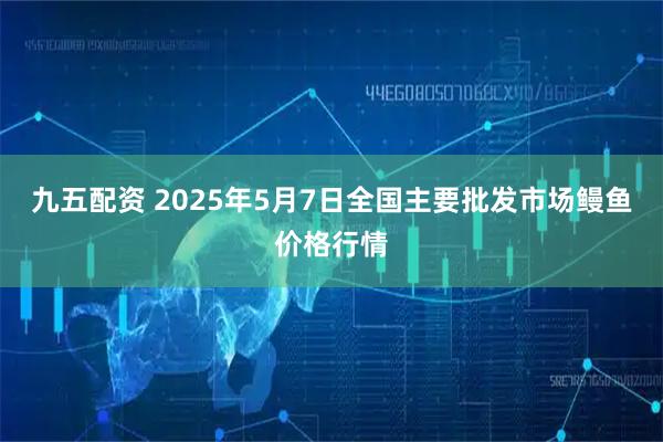 九五配资 2025年5月7日全国主要批发市场鳗鱼价格行情