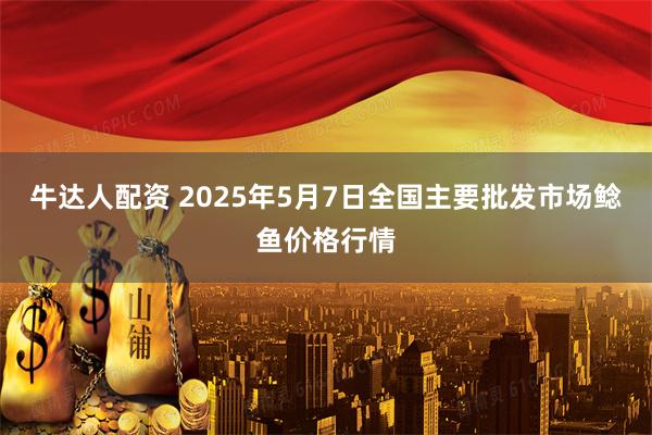 牛达人配资 2025年5月7日全国主要批发市场鲶鱼价格行情