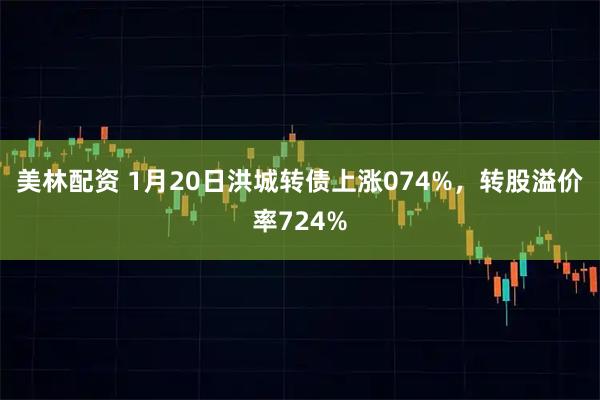 美林配资 1月20日洪城转债上涨074%，转股溢价率724%