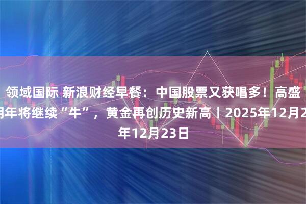 领域国际 新浪财经早餐：中国股票又获唱多！高盛称明年将继续“牛”，黄金再创历史新高丨2025年12月23日