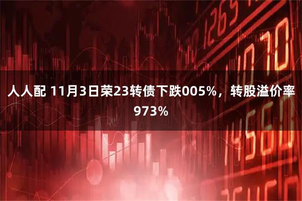 人人配 11月3日荣23转债下跌005%,转股溢价率973%